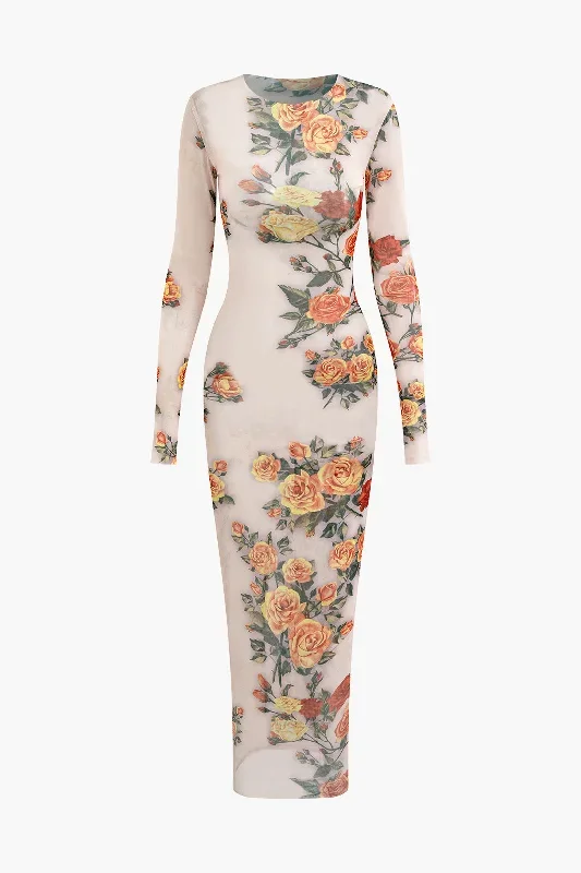 Floral Print Mesh Long Sleeve Maxi Dress